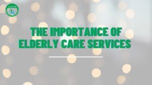 The Importance of Elderly Care Services